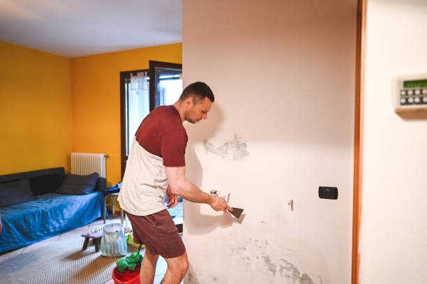 Best Emergency Mold Remediation in Blackfoot, ID
